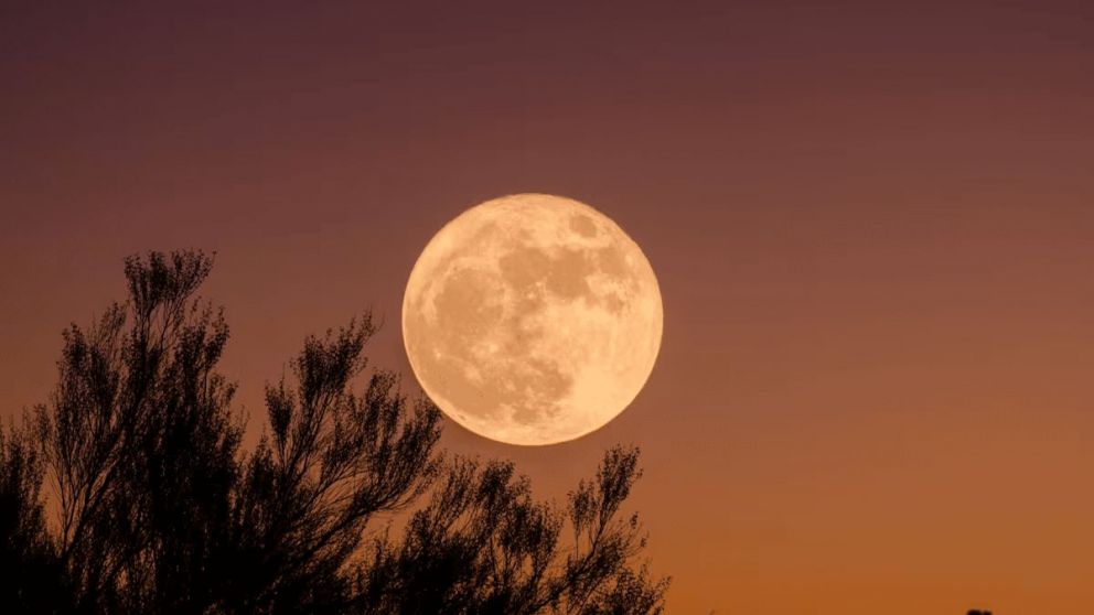 Conocé el poderoso ritual para atraer la abundancia durante la Luna llena de noviembre.
