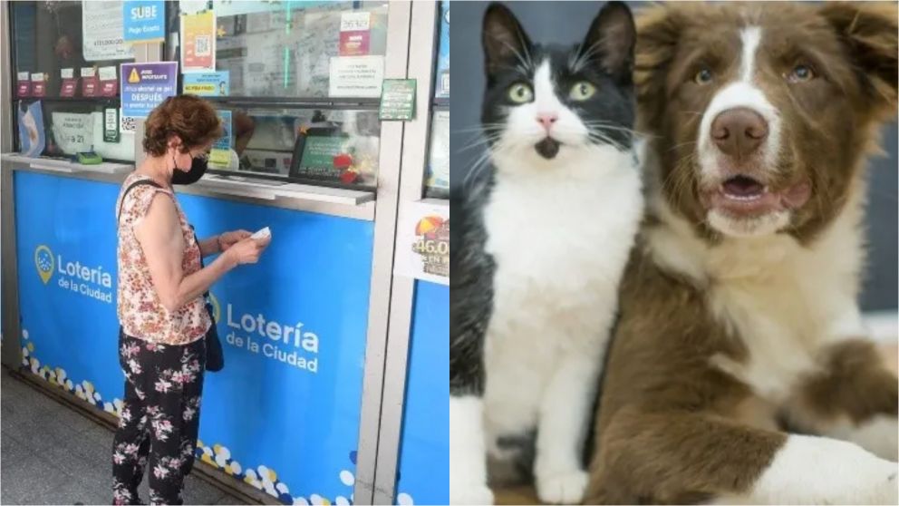 Pidió un boleto de lotería por su cumpleaños, ganó una fortuna y usará el premio para su "amigo de cuatro patas"